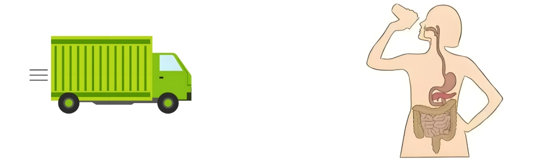 Extracto de Citrus aurantium