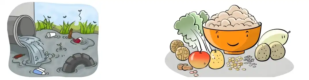 Citrus Aurantium Extract Synephrine