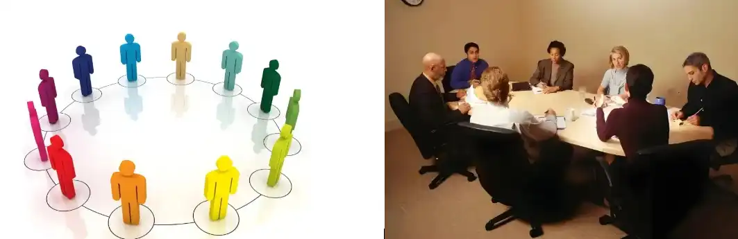 Extracto de cogumelos Reishi Extracto de cogumelos Reishi