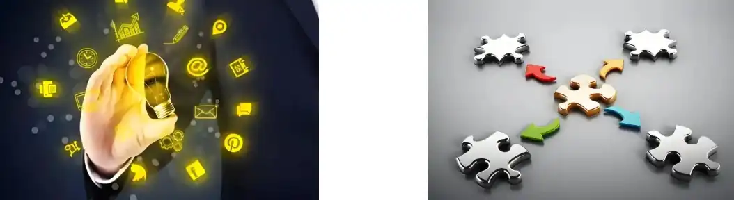 Cogomelo Reishi en po