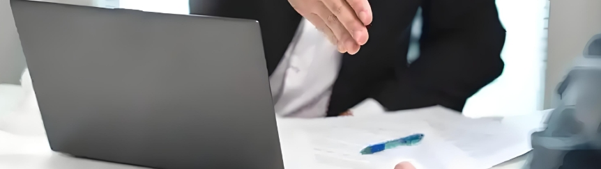 Cogomelo Reishi en po