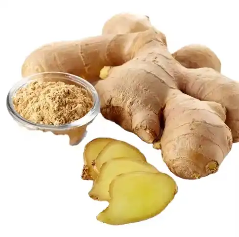 Ginger Root Extract Powder