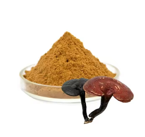 Extracto de cogumelos Reishi