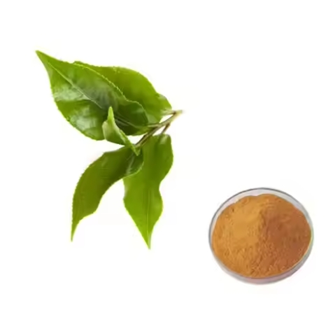 Extracto de té verde en po Extracto de té verde en po