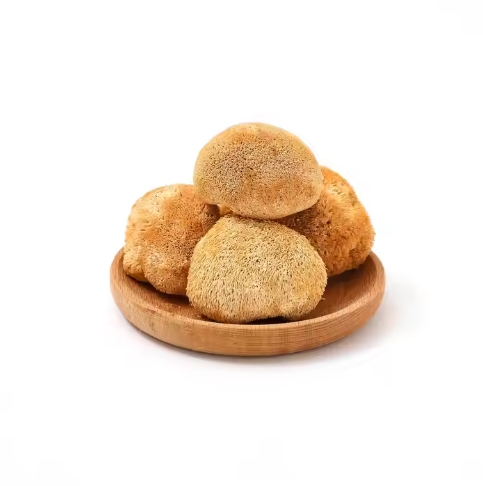 Lion's Mane Mushroom Extract