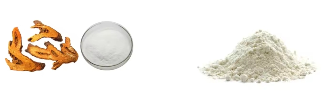 Extracto de Polygonum Cuspidatum Extracto de Polygonum Cuspidatum