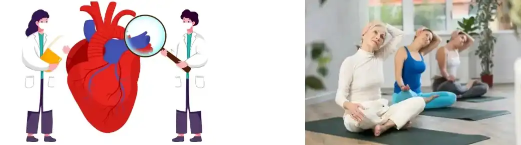 Extracto de Polygonum Cuspidatum Extracto de Polygonum Cuspidatum