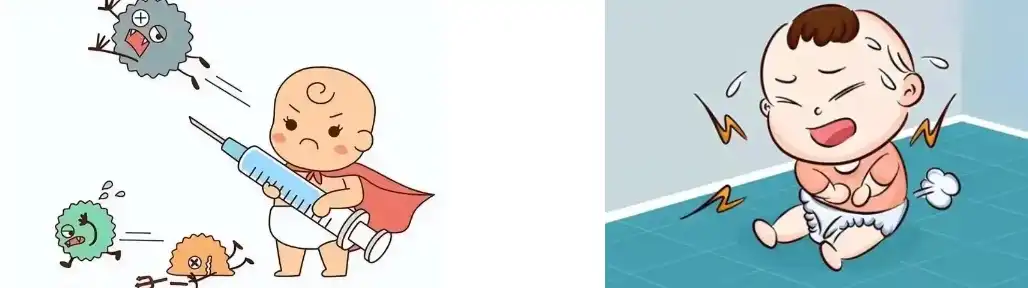 Roxburgh Rose Extract Roxburgh Rose Extract