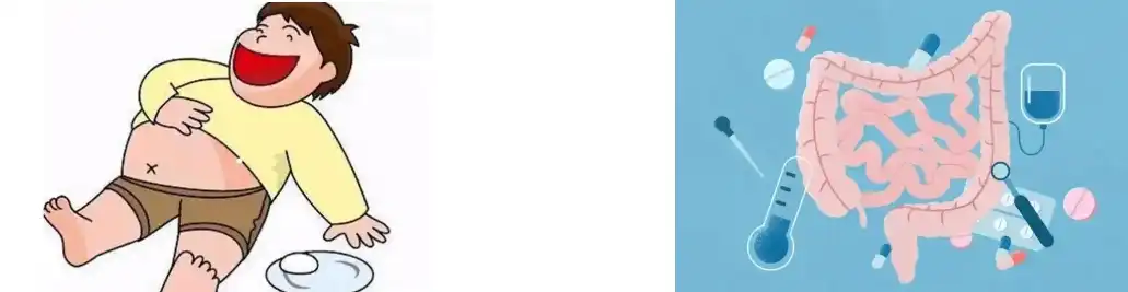 fava bean protein fava bean protein