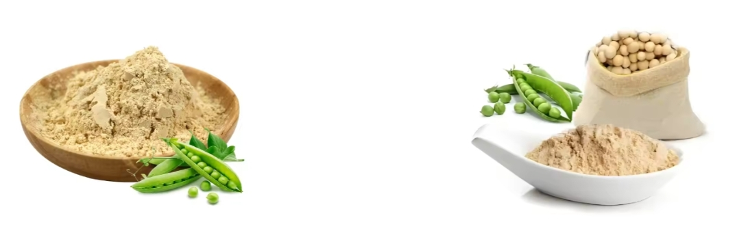 pea protein pea protein