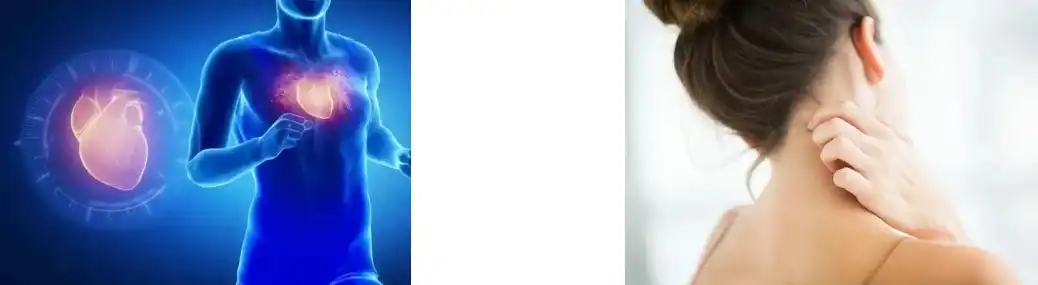 pea protein pea protein