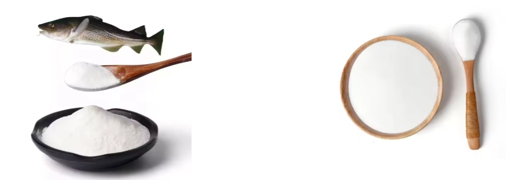 Fish Collagen Peptide Fish Collagen Peptide