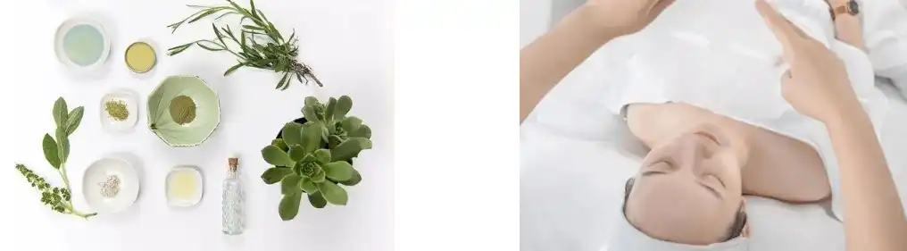 Tremella Fuciformis Extract Tremella Fuciformis Extract