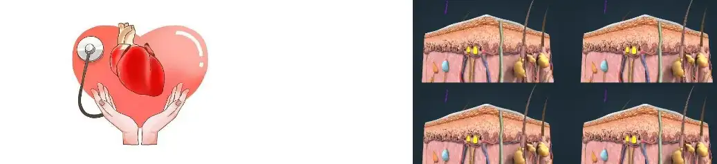 Yeast Beta Glucan Powder Yeast Beta Glucan Powder