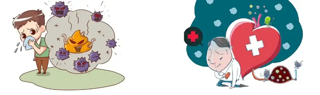 Maitake Extract Maitake Extract