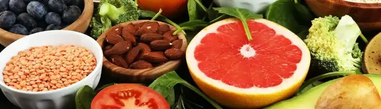 Stevia Extract Powder Stevia Extract Powder