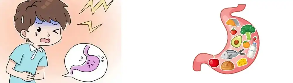 Monk Fruit Extract Powder Monk Fruit Extract Powder