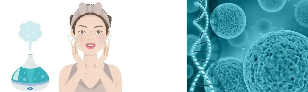 Phycocyanin Powder Phycocyanin Powder