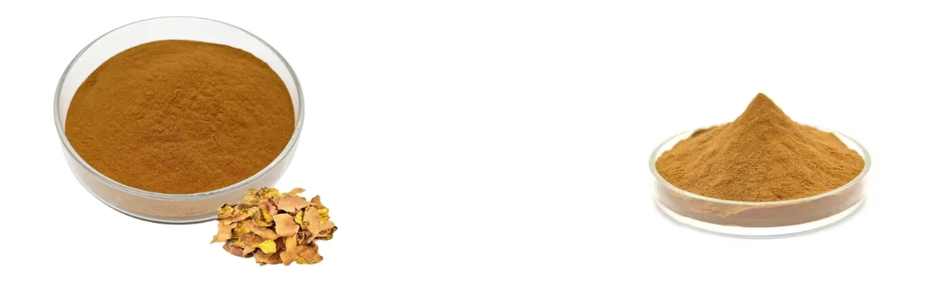 Pomegranate Peel Extract Powder Pomegranate Peel Extract Powder