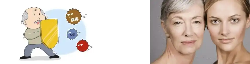 Pomegranate Peel Extract Powder Pomegranate Peel Extract Powder