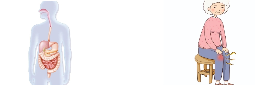 Pomegranate Peel Extract Powder Pomegranate Peel Extract Powder