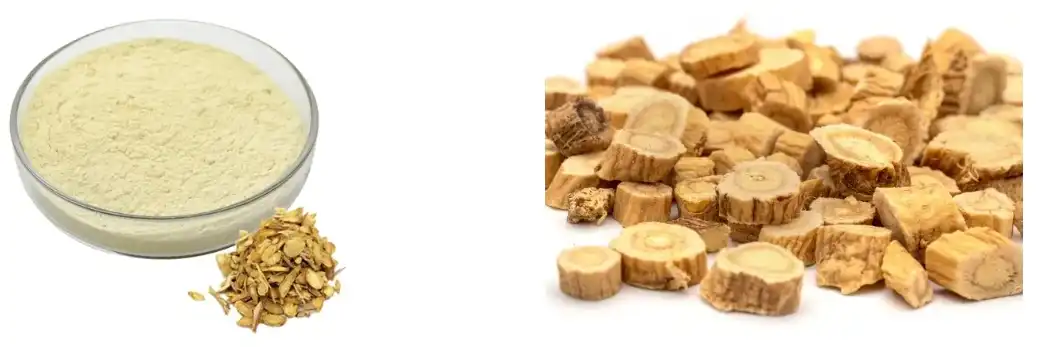 Extracto de Scutellaria Baicalensis Extracto de Scutellaria Baicalensis