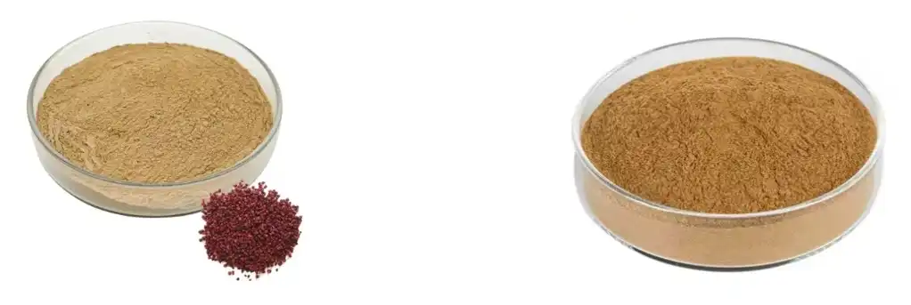 Schisandra Extract Powder Schisandra Extract Powder