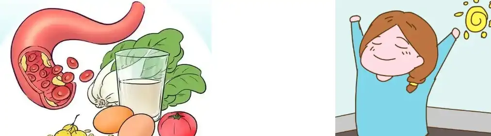 Schisandra Extract Powder Schisandra Extract Powder