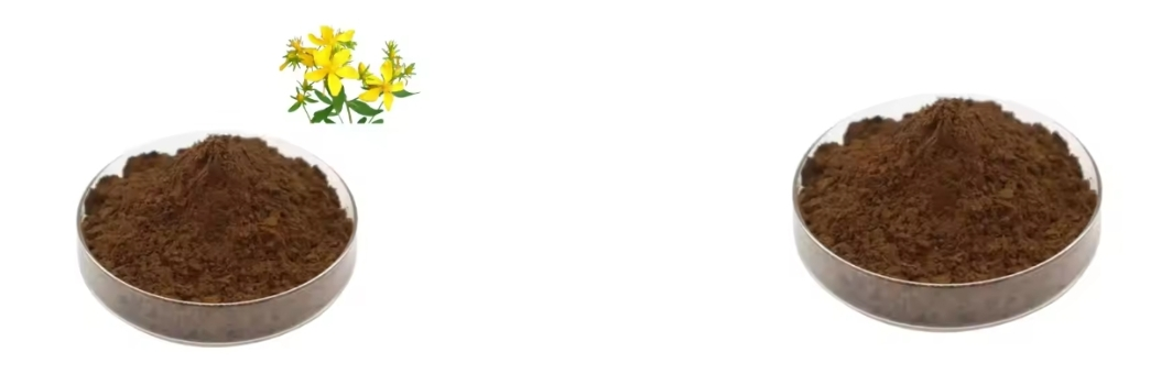 St John's Wort Extract St John's Wort Extract