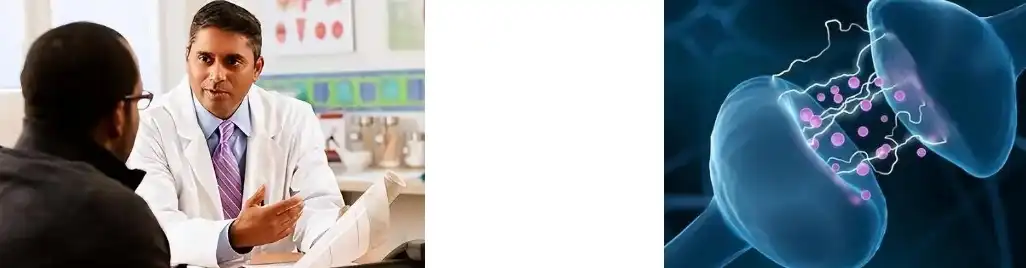 St John's Wort Extract St John's Wort Extract