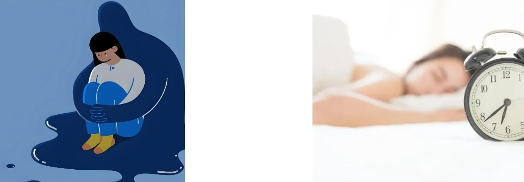 St John's Wort Extract St John's Wort Extract