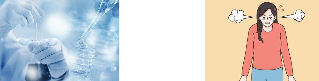 St John's Wort Extract St John's Wort Extract