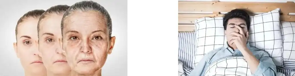 Extracto de Centella Asiatica en polvo Extracto de Centella Asiatica en polvo