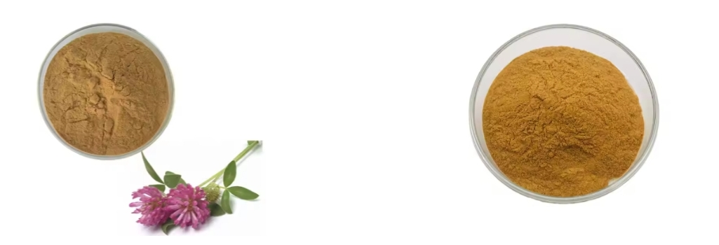 Red Clover Extract Powder Red Clover Extract Powder
