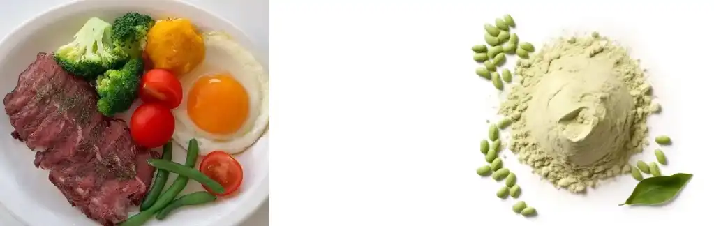 fava bean protein fava bean protein