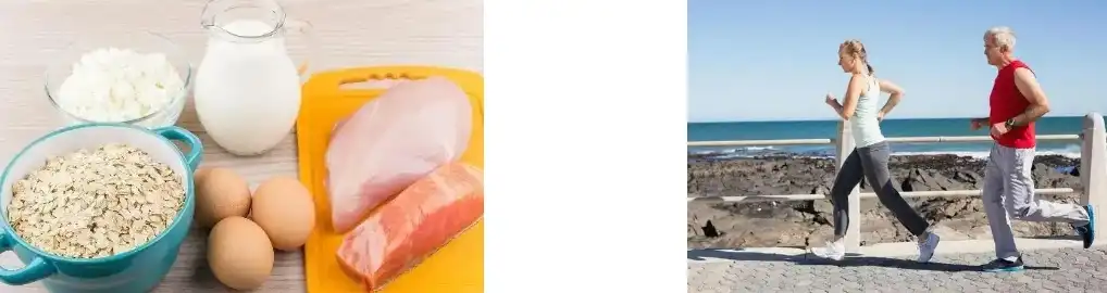 fava bean protein fava bean protein