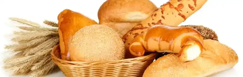 fava bean protein fava bean protein