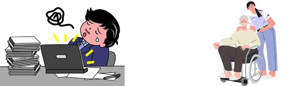 Schisandra Extract Powder Schisandra Extract Powder