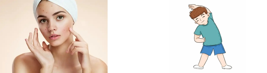 Schisandra Extract Powder Schisandra Extract Powder