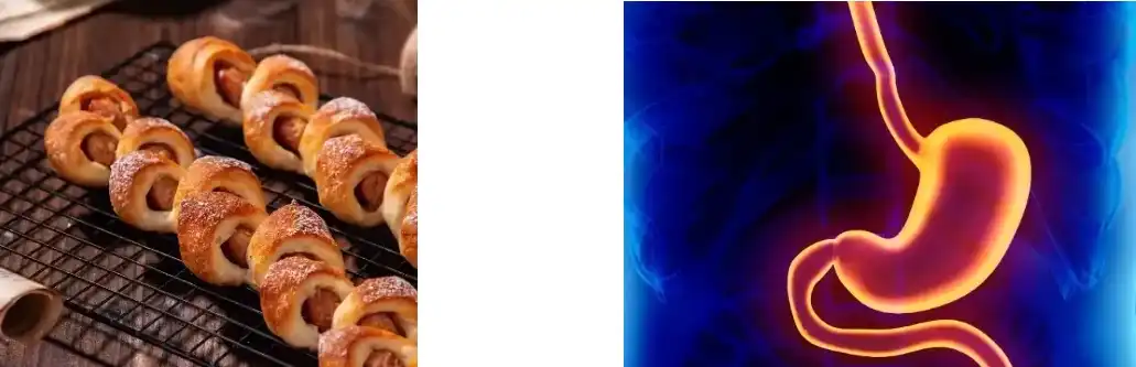 Schisandra Extract Powder Schisandra Extract Powder