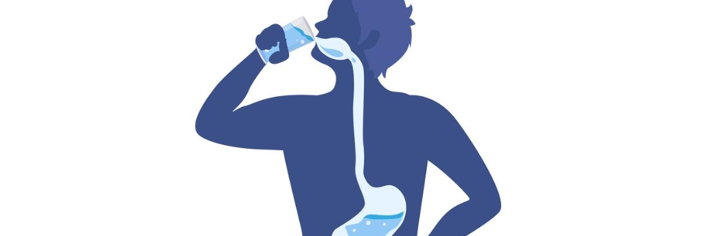 COENZIMA Q10 EN POL COENZIMA Q10 EN POL