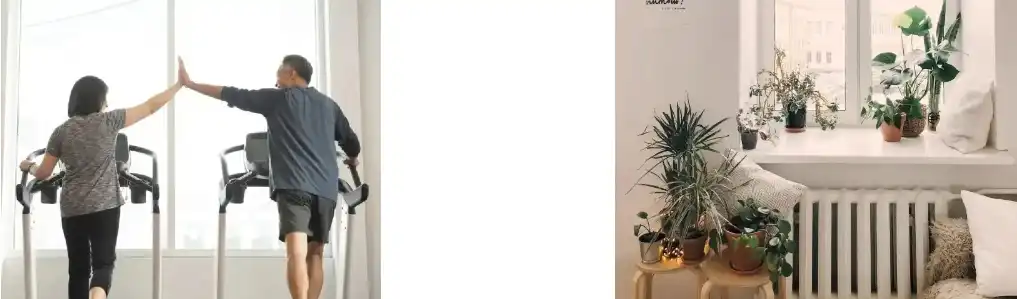 XYLITOL POWDER XYLITOL POWDER