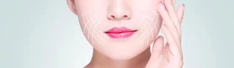 Rosemary Leaf Extract Rosemary Leaf Extract