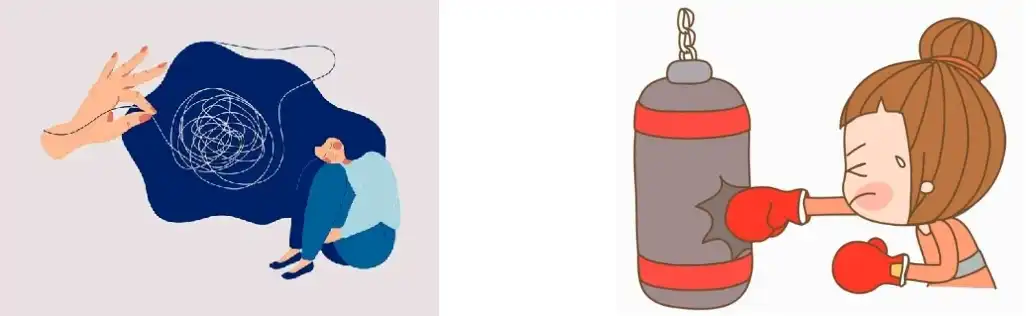 St John's Wort Extract St John's Wort Extract