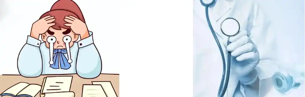 St John's Wort Extract St John's Wort Extract