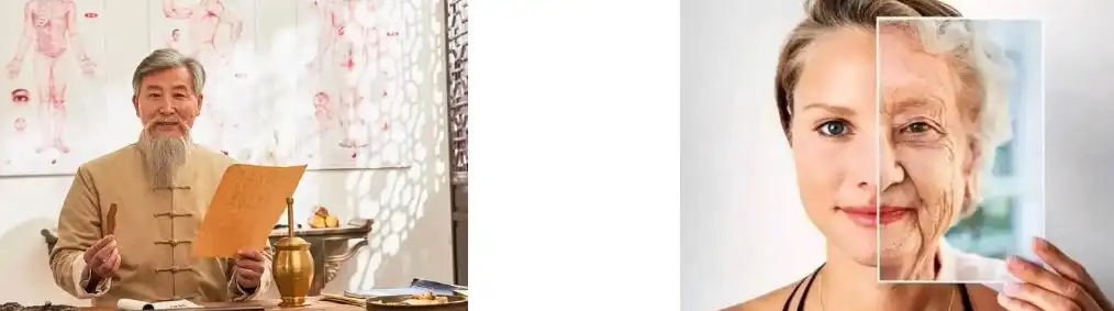 Polygonum cuspidatum extract Polygonum cuspidatum extract