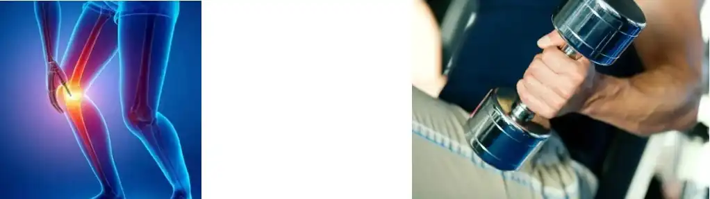 Bovine Collagen Peptide Bovine Collagen Peptide