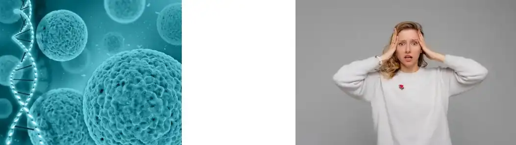 Armillaria Mellea Extract Armillaria Mellea Extract