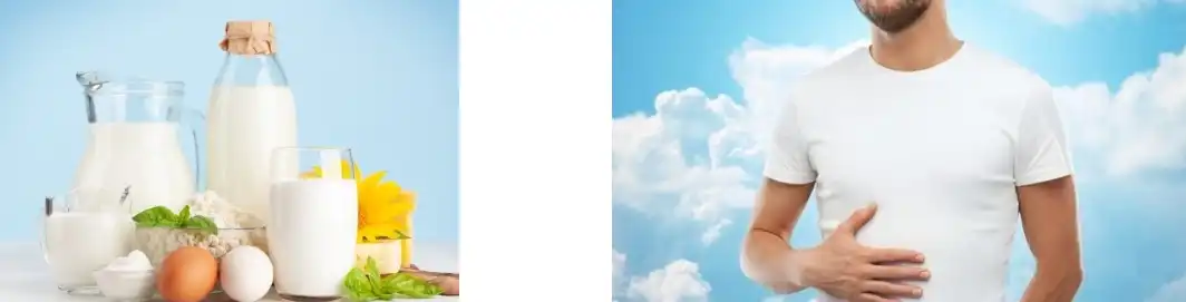 Proteína en po de feixón mungo Proteína en po de feixón mungo