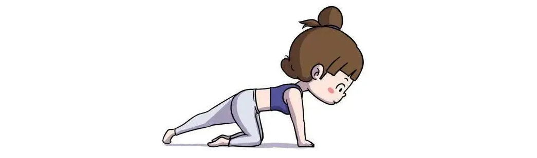 Proteína en po de feixón mungo Proteína en po de feixón mungo